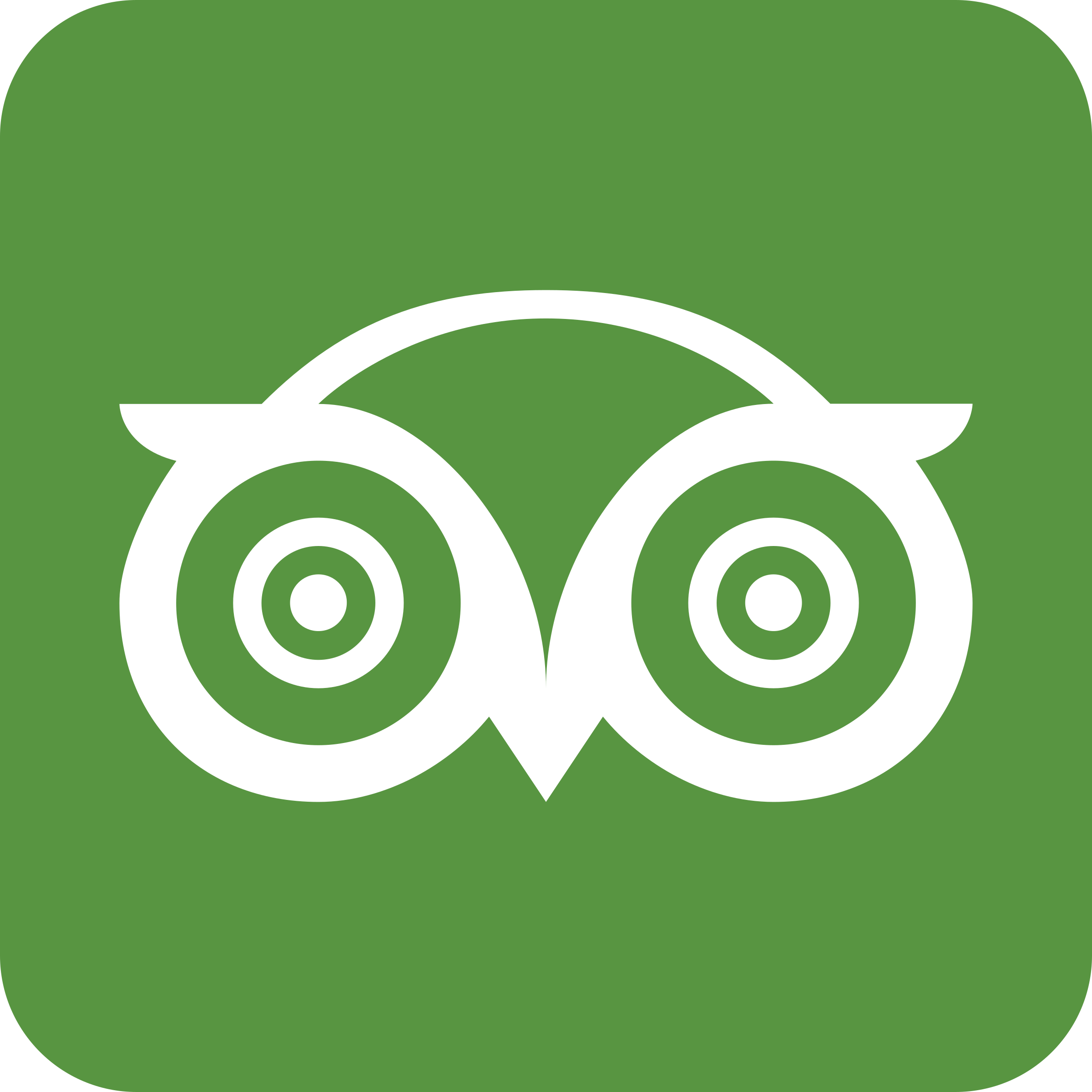 tripadvisor link